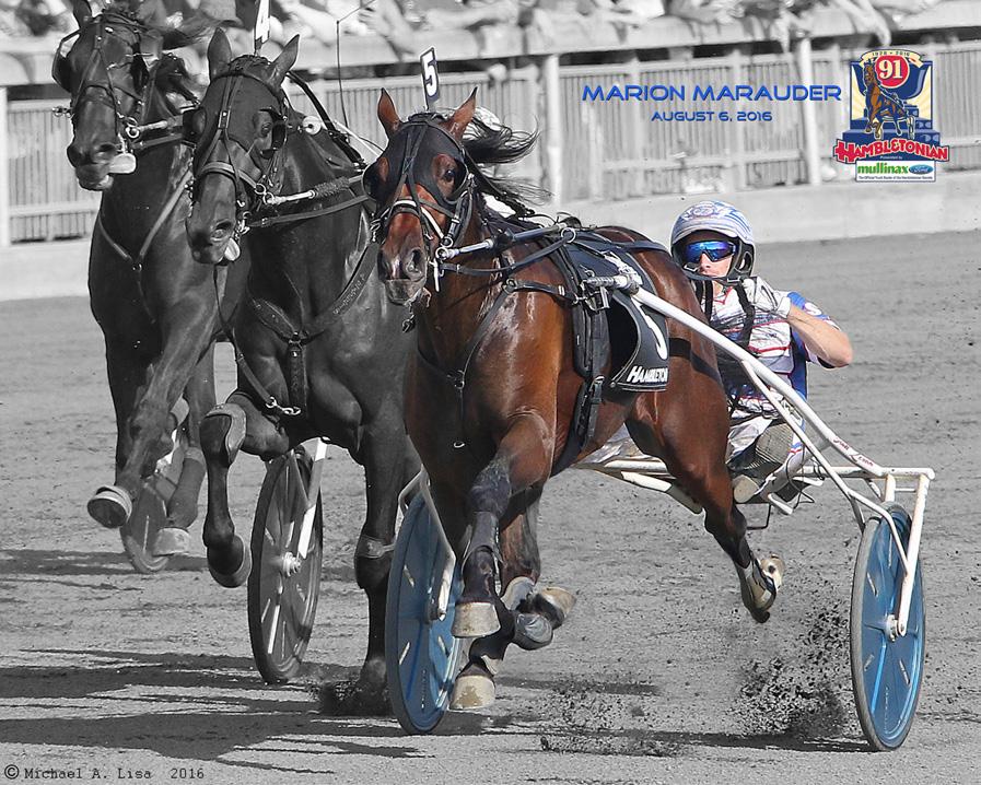 2016 NEW JERSEY STANDARDBRED OF THE YEAR MARION MARAUDER Harness racing s trotting colt Marion Marauder has been named the winner of the Secretary of Agriculture s Trophy as New Jersey Standardbred