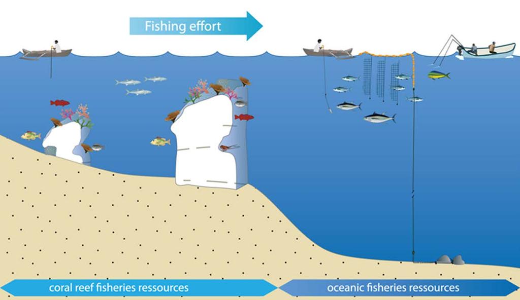 Adaptations to fill the gap L-L W-L L-W W-W Assist communities to catch tuna by expanding use of nearshore fish aggregating devices (FADs)