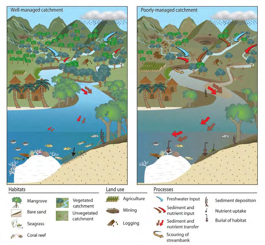 Adaptations to minimize the gap L-L L-W W-L W-W Manage and restore vegetation in catchments Reverse degradation of habitats Maintain water quality Improves resilience of coral