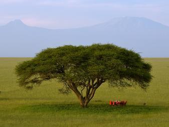 Chyulu is a rugged wilderness still showing signs of its volcanic origins and boasting some of the best views of Kilimanjaro.