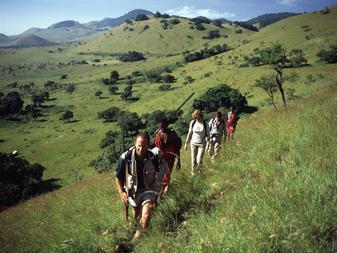 Adventures include Maasai-guided walking safaris, game drives in open 4x4 safari vehicles, day excursions to Tsavo National Park or afternoons spent at
