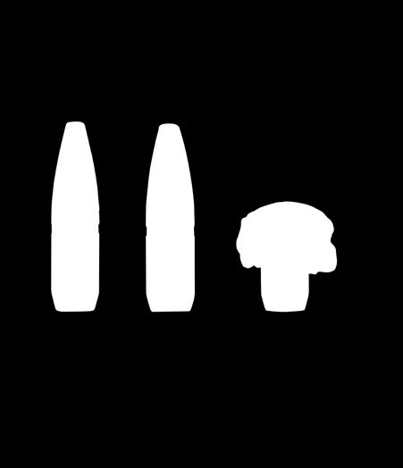 HAMMERHEAD & SUPER HAMMERHEAD Both Sako Hammerhead and Sako Super Hammerhead are bonded bullets suited for various types of hunting and shooting purposes.