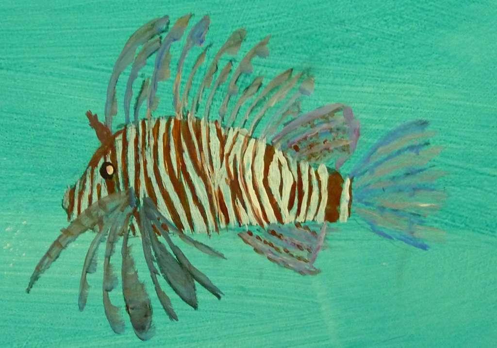 Fire fish also known as Lionfish, the spines of these beautiful fish are extremely venomous and the