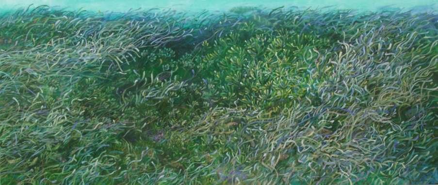 A painting of a Seagrass meadow with three different types of seagrass pictured