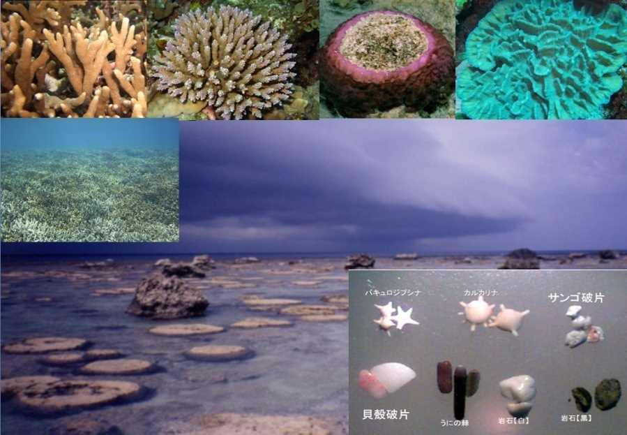 Motivation; Coral reef and carbonate beach attract many tourists for instance, six million people in Okinawa.