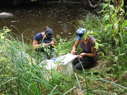 Monitoring Crayfish in Streams native and non-native crayfish have been monitored across
