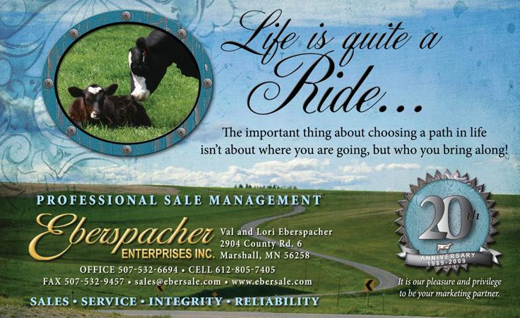Purina Cattle Specialists Kevin Lavelle, Cattle Specialist 307-214-9040 Cell Mountains
