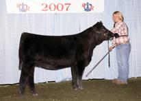 Her calves are stamped with that one of a kind look and have proven to be very marketable.