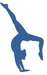 Ever wondered if there was something you could do to assist to make your child s experience with Karratha Gymnastics even better Here are some ideas: Assist our coaches to pack the equipment away at