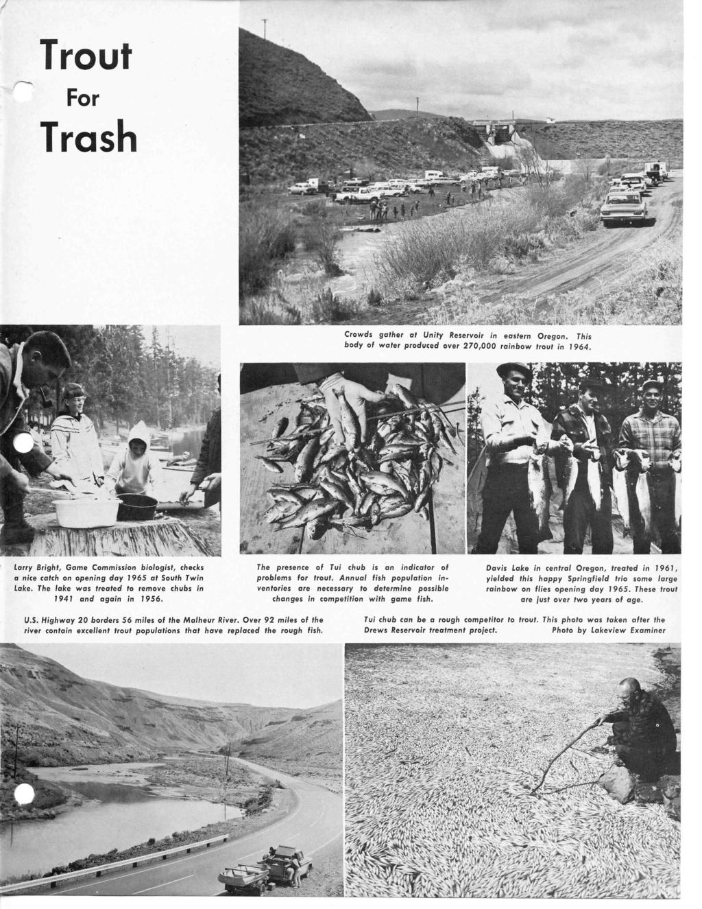 Trout For Trash Crowds gather at Unty Reservor n eastern Oregon. Ths body of water produced over 270,000 ranbow trout n 1964.