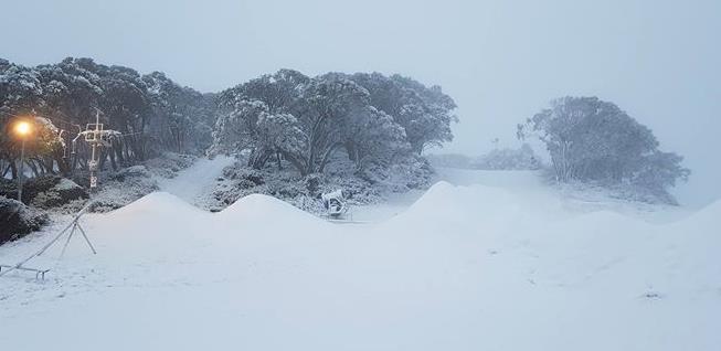 Set amongst the snow gums, Mt Baw Baw s slopes are protected from the elements and are great for students to explore Australia s alpine environment.