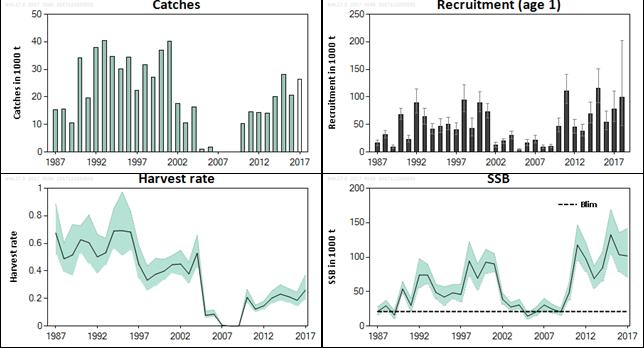 ICES Advice on fishing opportunities, catch, and effort Bay of Biscay and the Iberian Coast and Oceanic Northeast Atlantic Ecoregions Published 8 December 2017 DOI: 10.17895/ices.pub.