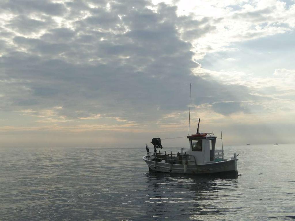 The Mediterranean Platform of Artisanal Fishers (MedArtNet)