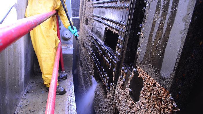 Cleaning quagga mussels from penstock gates at Glen Canyon Powerplant is a regular routine/burec CWatt The infestation also is a concern for the U.S.