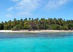 Tonga has incredible reef diving, however, it is relatively remote compared to much of the developed world.