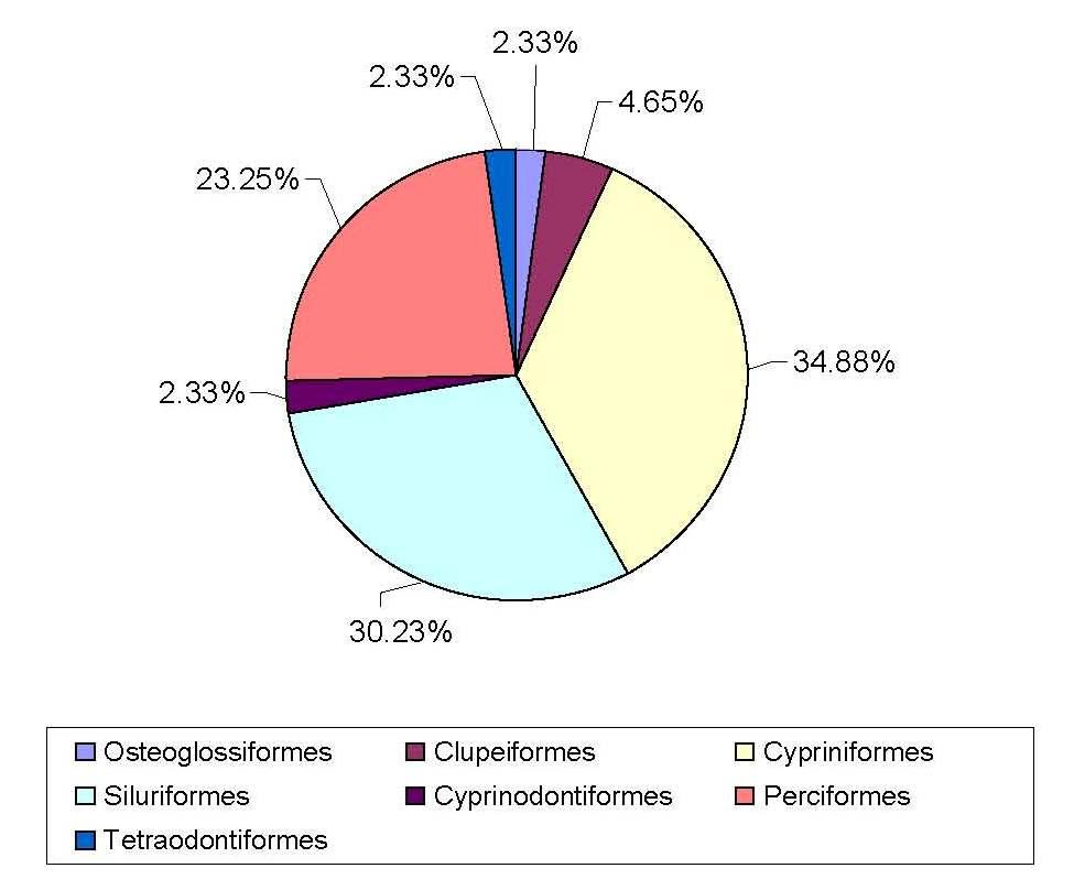 Universities Research Journal 2011, Vol. 4, No. 2 41 Table 1 Species composition in different orders in the study area during January 2007 to December 2008 Sr.