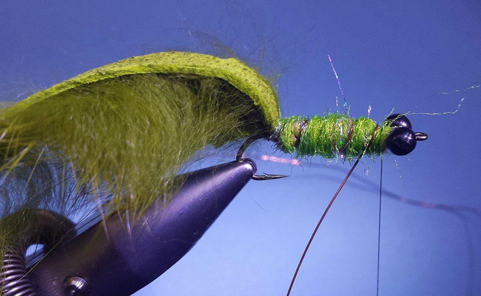 Rib your thread backwards to secure the wool and then dub forward using the caddis green dubbing.
