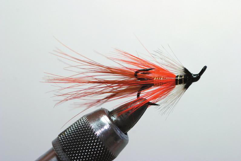 The Orange and Gold Shrimp 1. Start the tying thread and wind it in touching turns to the back of the hook.