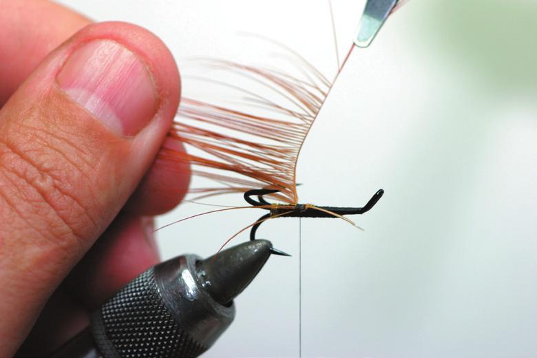Put on three touching turns of oval gld tinsel as described in the tailing article It is an excellent fly for fresh grilse in clear water and an excellent peat stained water fly