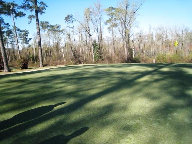 1. Weed Control on Fairways and Roughs Weed control at many courses in the southeast has been difficult this spring.