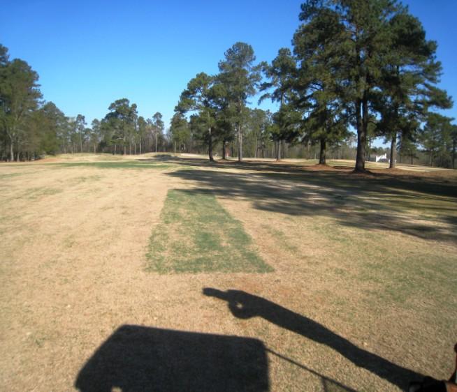 A program of tree removal is messy, costly, time consuming, but necessary for the long term improvement of the turf. I suggest you start with a landing area that has major shade issues.