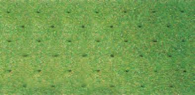 .. Verticutter Fine-Grass Star Slitter Greens Spiker Greens Roller Thatch-Free With their revolutionary Fan-Force Tungsten