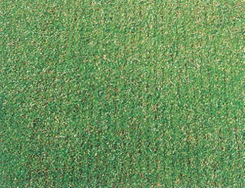 Scarifier Groomer Deep Slicer Rotary Brushes Bermuda Tamer Topdressing Brush Thatch-Free Root Zone Smooth Textured For