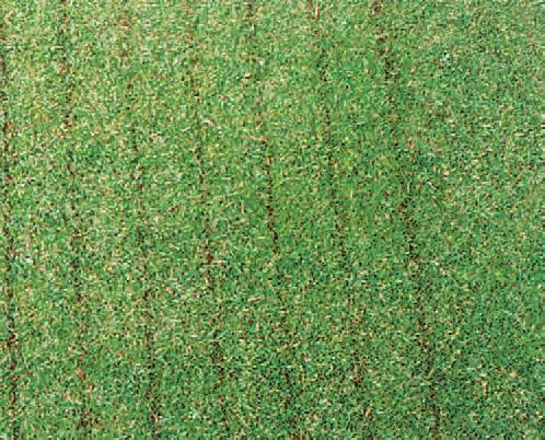 To thin out and refine coarser grasses, particularly Poa Annua, the Groomer Cassettes have specially thin blades with offset