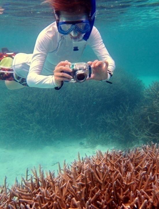Review the pictures together with the marine biologist and take your memories home.