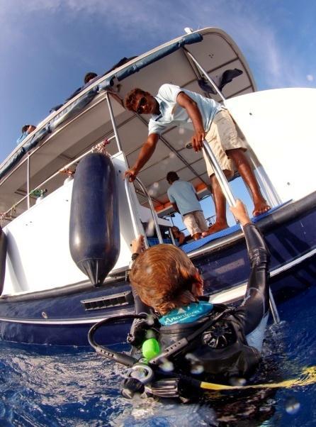 trained Surface marker buoys are carried by all dive leaders and used on every dive Nitrox 32% is available for you at no extra cost Onboard the dive boat we