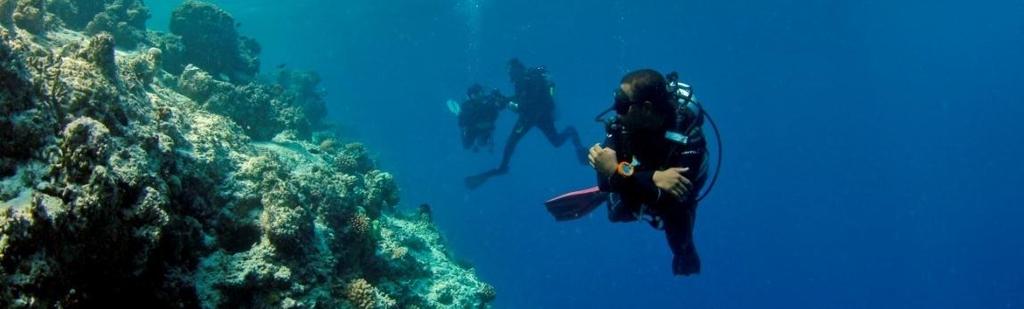 Beginner PADI Courses (Price includes all equipment, boat fees and certification) Bubblemaker (8 and 9 year olds) 100 Discover Scuba Diving in the lagoon 130 Discover Scuba Diving (by boat) 185