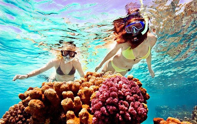 Snorkelling Trips Call by one of our AQUAFANATICS centres and we will outfit you with complimentary snorkelling equipment for the duration of your stay.
