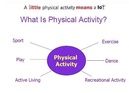 general introduction Physical activity Any bodily movement produced by the contraction of