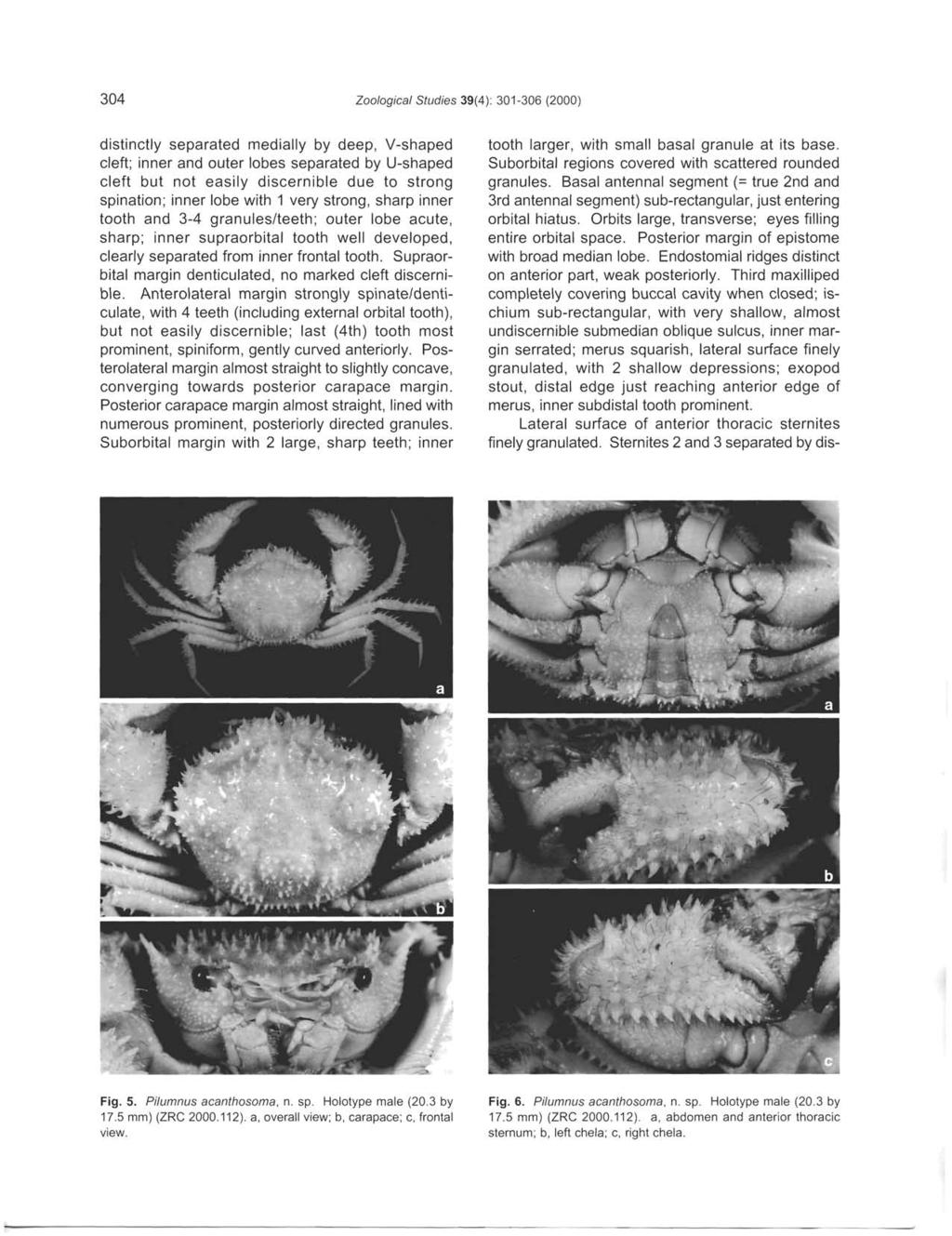 304 Zoological Studies 39(4): 301-306 (2000) distinctly separated medially by deep, V-shaped cleft; inner and outer lobes separated by U-shaped cleft but not easily discernible due to strong