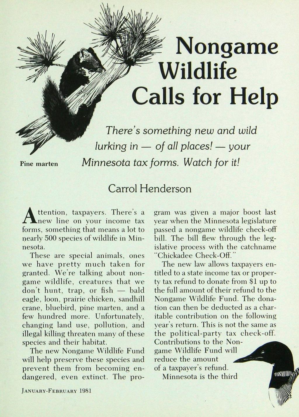Nongame Wildlife Calls for Help Pine marten There's something new and wild lurking in of all places! your Minnesota tax forms. Watch for it! Attention, taxpayers.