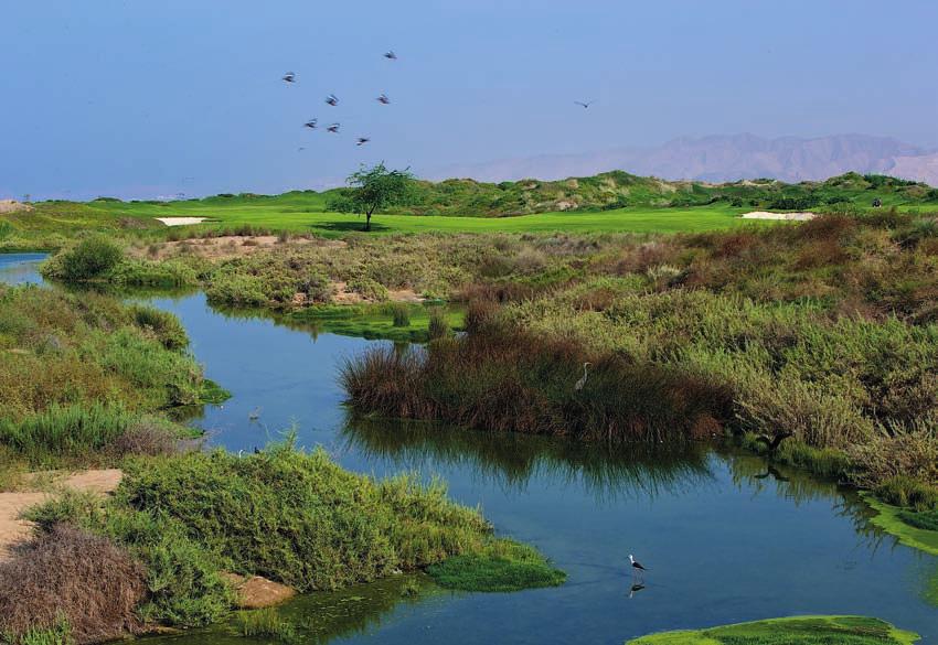 following the natural lines of Muscat s pristine coastline, Almouj Golf at The Wave, Muscat is inspired by Oman and designed by Greg Norman.