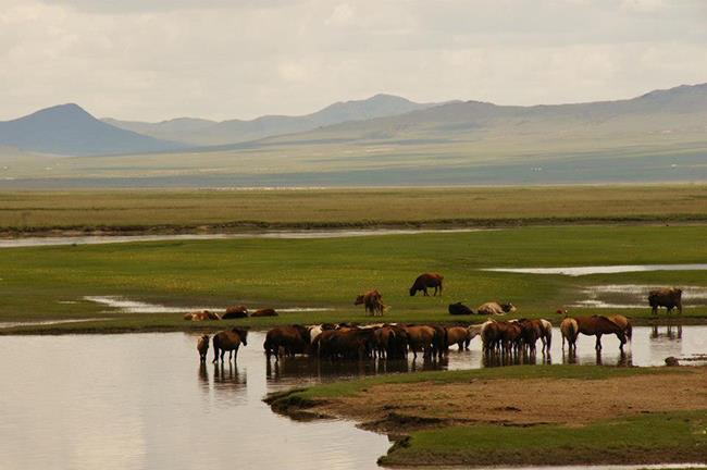 Communist state before allowing you the chance to ride, photograph or relax on the Mongolian steppes.