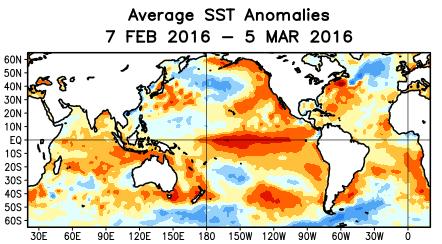 Pacific ocean (ENSO area) and Indian Ocean SST