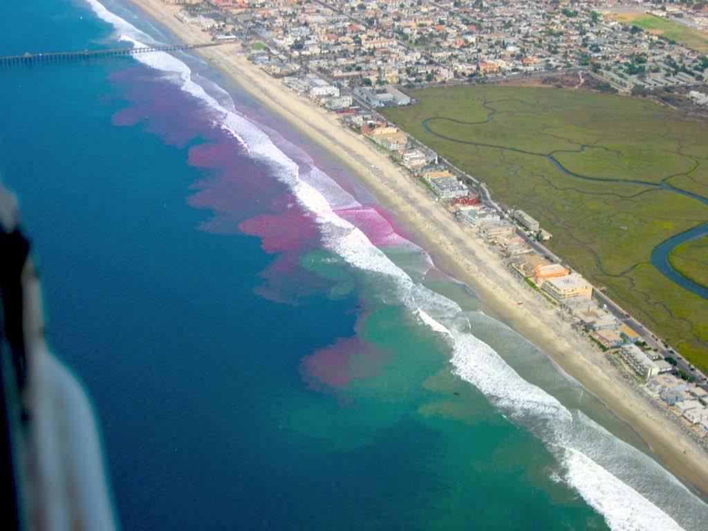 Figure 4: Estimated surfzone cross-shore diffusivity versus (a) wave breaking parameter (b) surfzone vorticity parameter. Figure 5: Aerial photograph during the IB09 plume experiment with South swell.