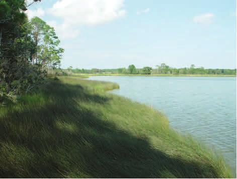 Teacher Guide Earth Science Module Activity 1: Observing Estuaries Featured NERRS Estuary: Weeks Bay NERR (Alabama) http://www.nerrs.noaa.gov/ Reserve.aspx?