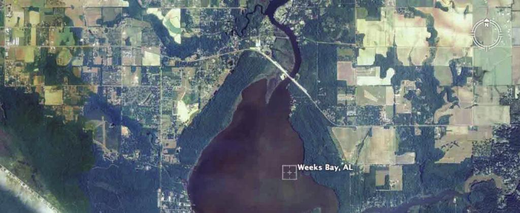 Figure 4. The end point of your Alabama River trip in the Weeks Bay NERR 2l.