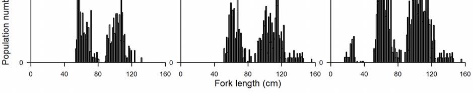 Dark ghost shark Frostfish Hake Figure 6: Scaled length frequency distributions for the other commercial species where more than 100 fish were measured.