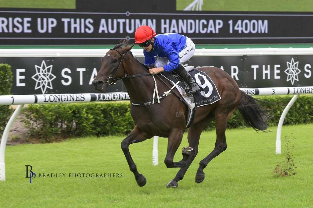 We have a host of good three years old fillies at present with Almerheri set to have her next start in the Group 3 Kembla Classic on 15 March 19.