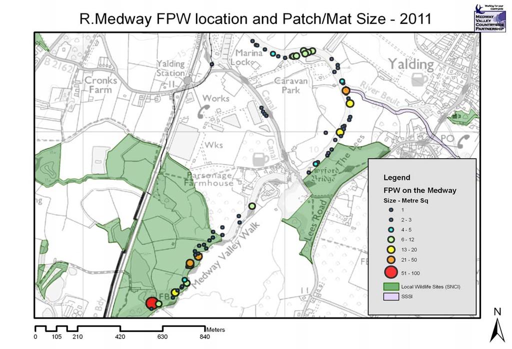 Figure 4: Actual FPW locations and mat sizes in November 2011 approximately 6 weeks after the first observations.