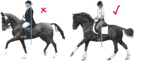 With the pony hunter the number of strides added should be consistent throughout the course for a similar distance, i.e., for 48 feet between jumps, which is typically a three stride distance, the pony may exhibit four strides and this should be consistent for another 48 foot distance.