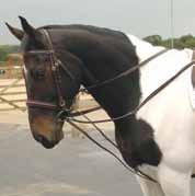 loop. German Side Reins These side reins work in a similar fashion to draw reins, by encouraging the horse to lower its