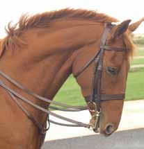 The noseband is 1 1/4 wide. A slip head can be added to make a double bridle.