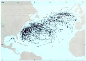 Trajectories of derelict (drifting) ships (19