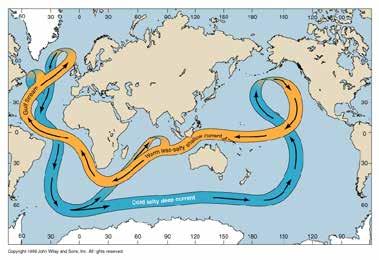 Thermohaline Circulation Atlantic Water Masses Deep