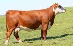 30, 2018 Tattoo: BE 147F Polled CB 57U CAN DOO 102Y REMITALL-W START ME UP ET 7B P43600369 REMITALL-WEST MARVEL ET 76Y BOYD